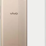 ZIgZag  Vivo Y55L Back Cover Transparent