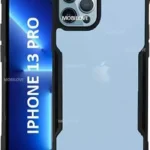 OO LALA JI For Iphone 13 Pro Back Cover  Eagle New