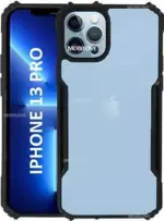 OO LALA JI For Iphone 13 Pro Back Cover  Eagle New